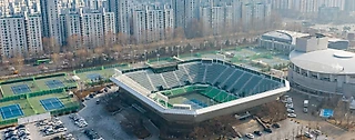 WTA, Неделя 19: Токио и Сеул