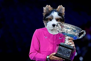 ATP Australian Open: победитель турнира – ArseneAl77