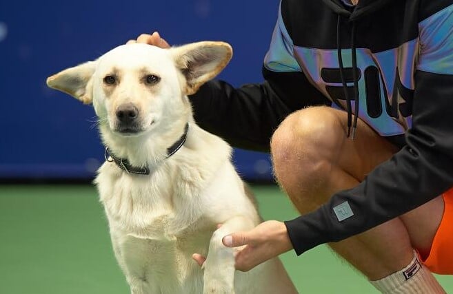 Almaty Open, Федерация тенниса Казахстана, Sports – Казахстан, Андрей Голубев, Тимофей Скатов, Джон Миллман