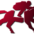 Horse Racing