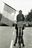 Sporting_Roots