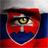Записки фаната