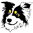 Stardog Champion
