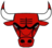 Chicago Bulls