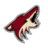 Arizona Coyotes