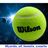 Lords of tennis courts