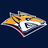 Metallurg Video Live