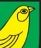 Norwich City