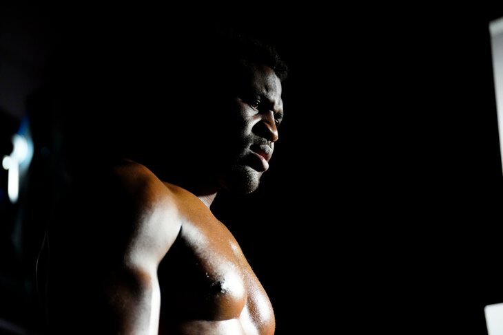 Фьюри – Нганну, Фрэнсис Нганну, бокс, MMA, UFC