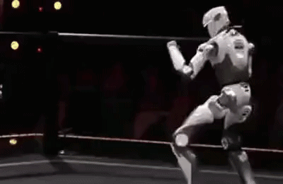 Роботы сносят друг другу головы вертушкой! В Китае для них запустили MMA-лигу