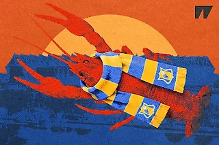 🦞 Сейчас вам захочется сварить раков. Все о культурном символе Ростова