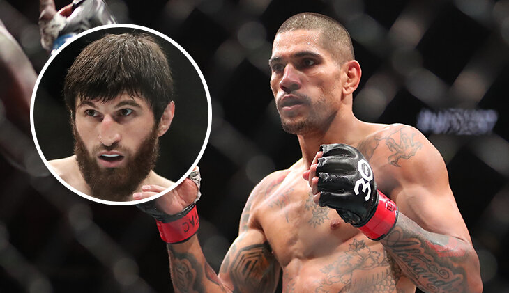 Алекс Перейра, UFC, MMA, Магомед Анкалаев