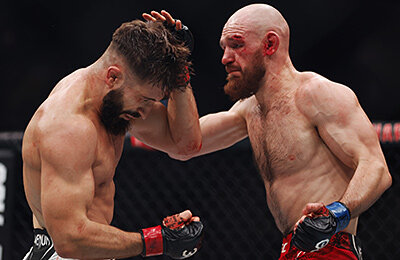 UFC 295, MMA, Вячеслав Борщев, UFC