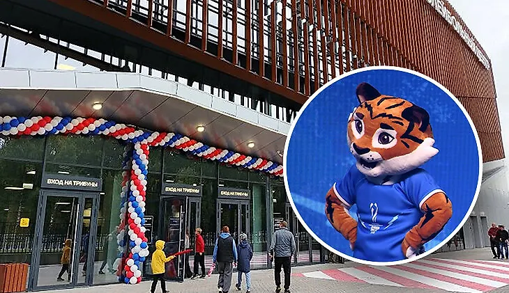 media