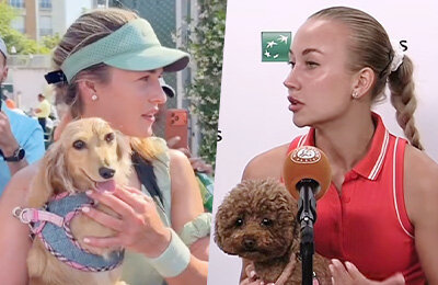 животные и спорт, Арина Соболенко, WTA, Анастасия Потапова, Анна Калинская, Ролан Гаррос, собаки