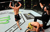 Бойцовский остров UFC, MMA, Петр Ян, Жозе Альдо, UFC, UFC 251, Петр Ян - Жозе Альдо