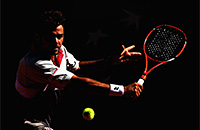 Новак Джокович, Ролан Гаррос, ATP, Стэн Вавринка