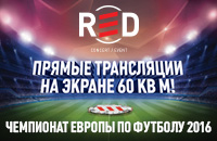 болельщики, Евро-2016