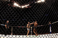 Джон Джонс, UFC 247, MMA, UFC, Доминик Рейес