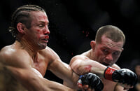 Нокауты, Генри Сехудо, UFC, MMA, Юрайя Фэйбер, Петр Ян, UFC 245