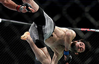 Забит Магомедшарипов, UFC, UFC 235, полулегкий вес, Джереми Стивенс
