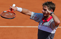 Ролан Гаррос, ATP, Стэн Вавринка, Жо-Вильфред Тсонга