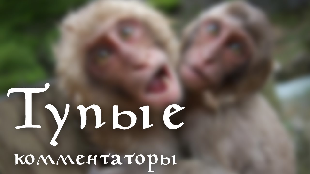 Геннадий Орлов, Владимир Стогниенко, Константин Генич, Александр Елагин