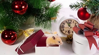 Мои любимые программы десятилетия