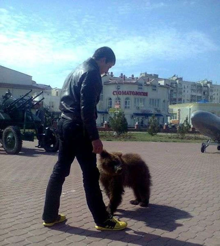 https://photobooth.cdn.sports-ru.com/preset/post/1/30/1dae0e47f4ce99ca3fbb2eed1efc1.jpeg