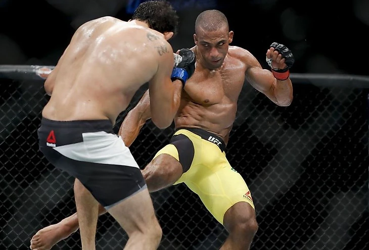 Barboza lowkick