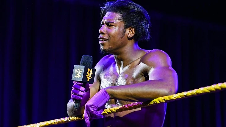 Обзор WWE NXT 01.04.2020, изображение №3