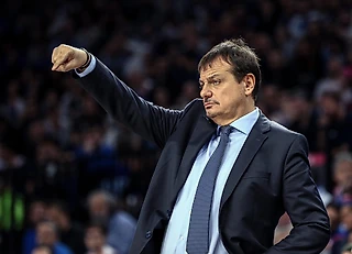 Коротко о составе: «Анадолу Эфес»