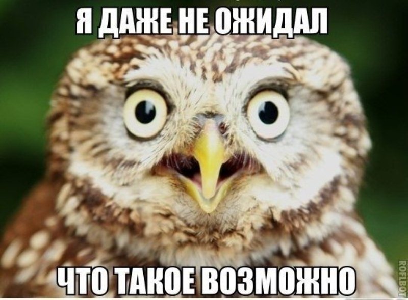 Премьер-лига Англия, Лига 1 Франция, Бундеслига Германия, Серия А Италия, Ла Лига