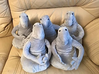 Федерер-2021