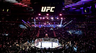 Экономика UFC