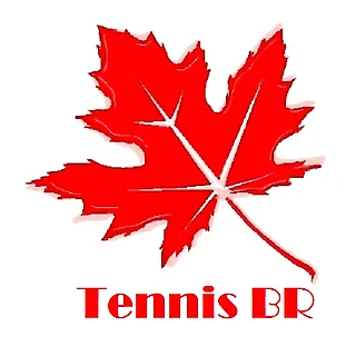 Новак Джокович - Даниил Медведев. Прогноз на основе приложения Tennis BR