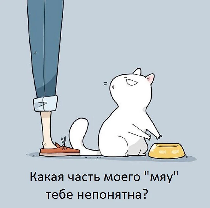 зоо