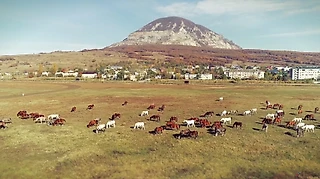 Конный спорт в России. Красивое видео!