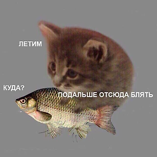 Новый рекорд под угрозой?