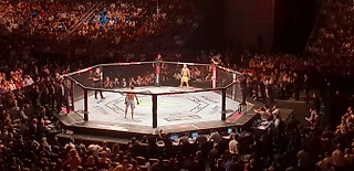 UFC Fight Night 136. Как прошёл первый турнир UFC в России