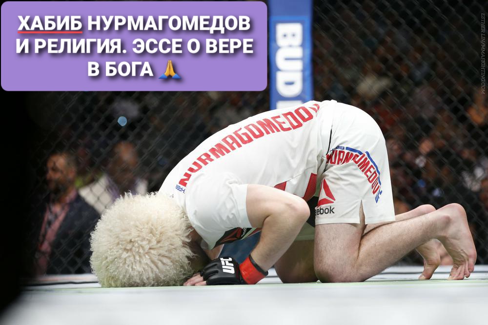 UFC, Конор Макгрегор, Артем Лобов, Эммануэль Макрон, Забит Магомедшарипов, Хабиб Нурмагомедов