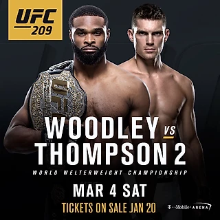 Обзор  UFC 209