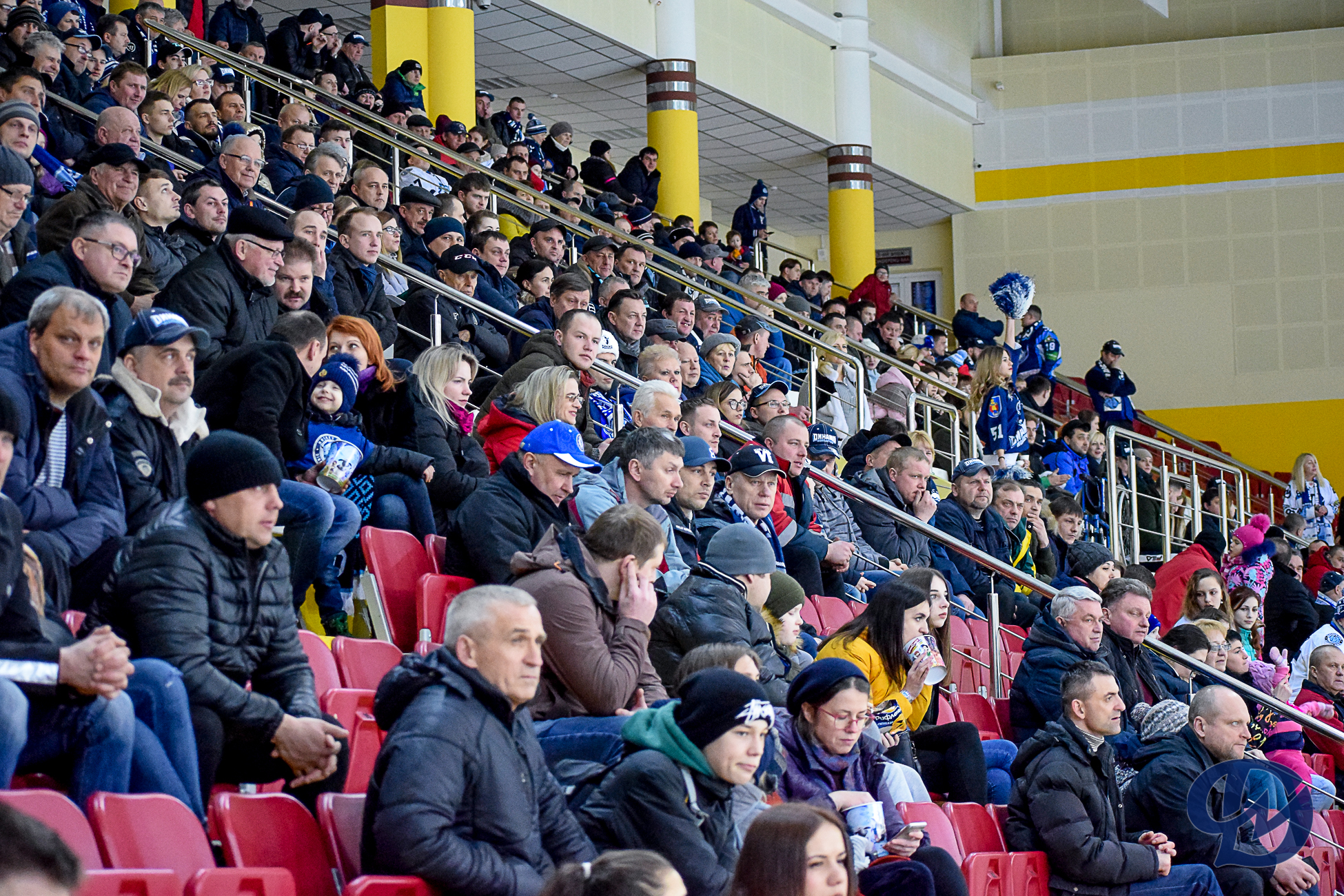 чемпионат Беларуси, Гомель, Динамо-Молодечно