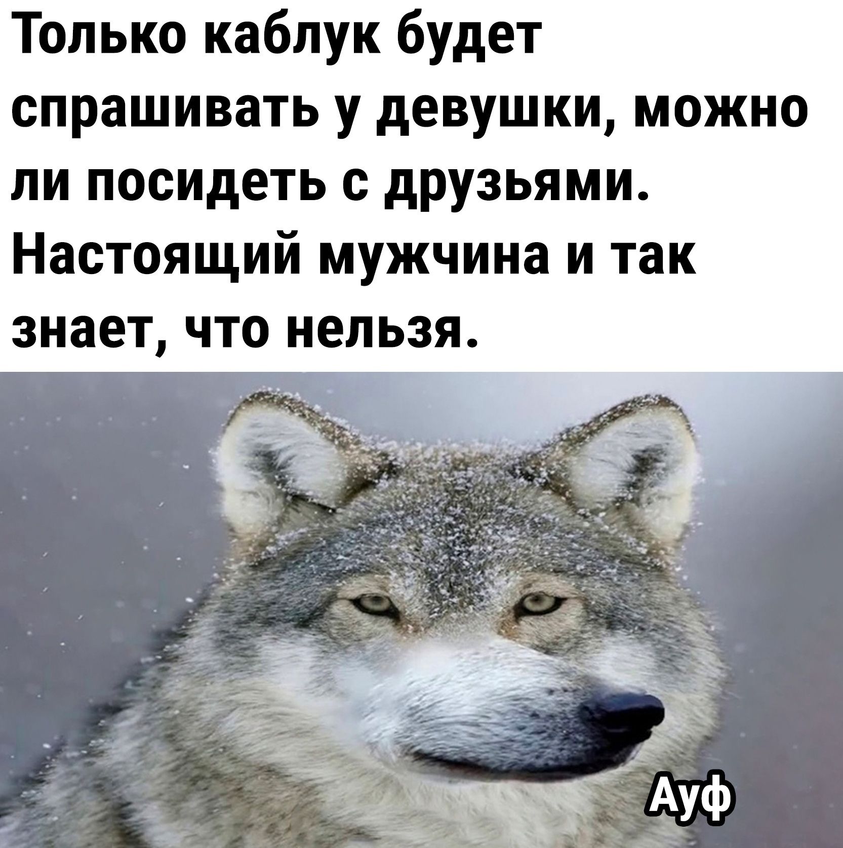 ЦСКА