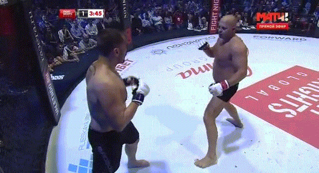 Федор Емельяненко vs Фабио Мальдонадо - весь бой в одной гифке