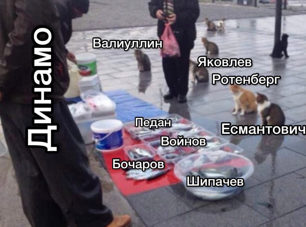 Михаил Тюркин, Андрей Сафронов, КХЛ, Динамо Москва, Вадим Шипачев, Марат Хайруллин, Вячеслав Войнов, Алексей Шевченко, Александр Еременко, Дмитрий Яшкин, Станислав Галиев