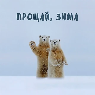 Итоги Зимнего Сезона 2017-2018