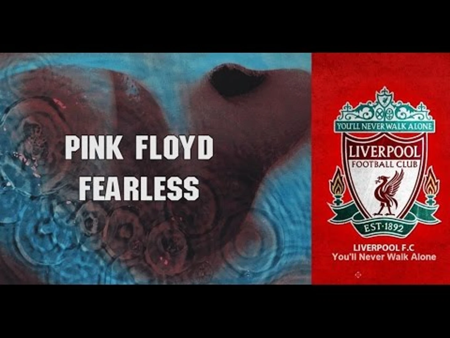 �а��инки по зап�о�� pink floyd fearless you'll never walk alone