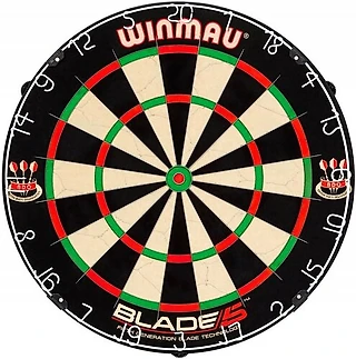 Про первый чемпионат НСО и мишень Winmau Blade 5