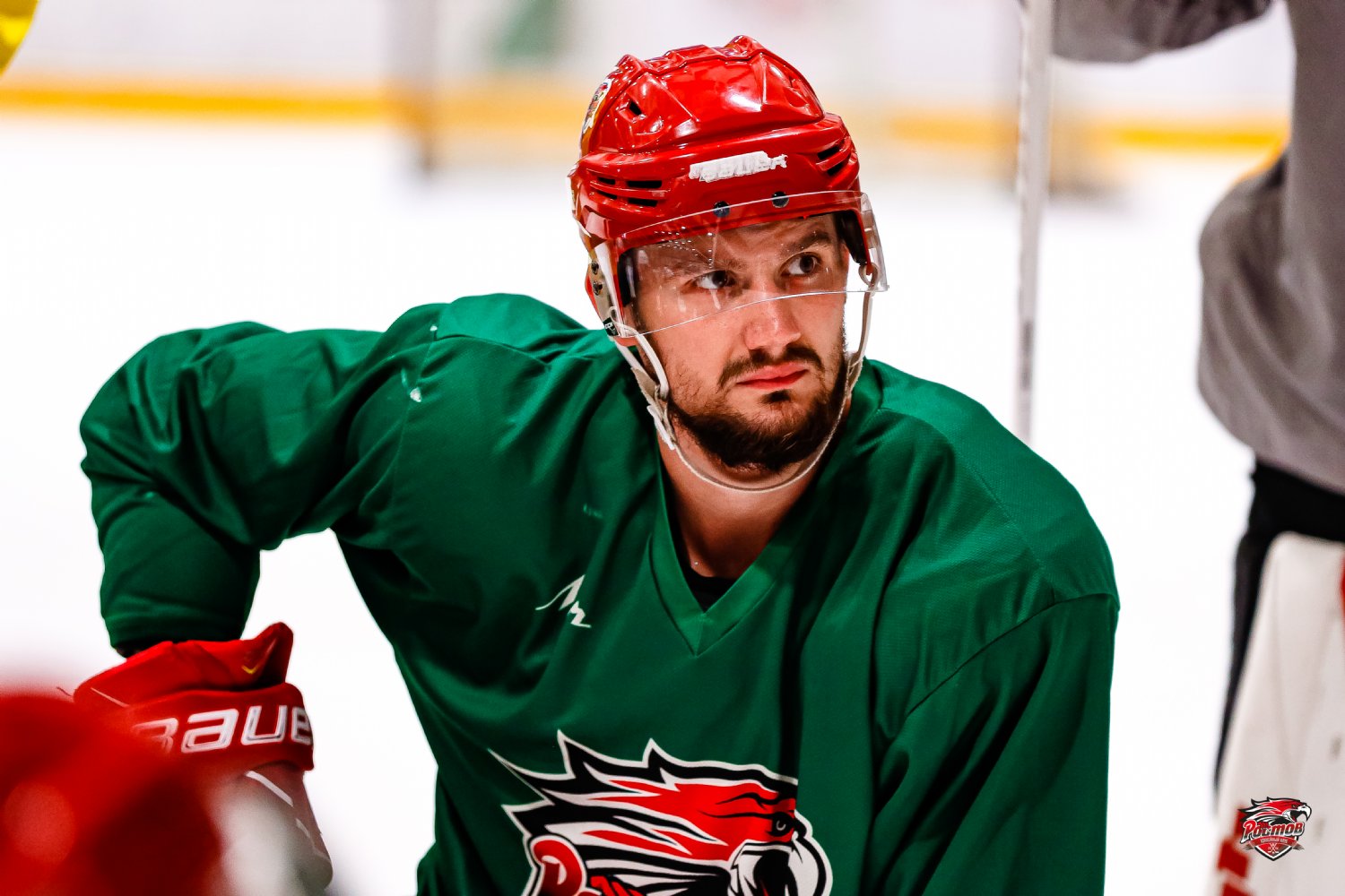 Челмет, Лада, ВХЛ, Александр Микулович, ECHL, ХК Ростов